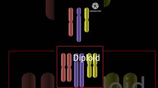 What is Haploid diploid 🤔 Biology [upl. by Amilb]