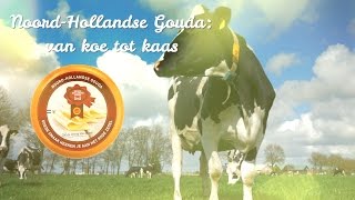 Van koe tot Kaas  Een kijkje achter de schermen [upl. by Fernandina]