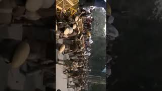 Barricades toda bhayankar bawal prayagraj liveprayagraj uppsconedayoneshift [upl. by Eesdnil]