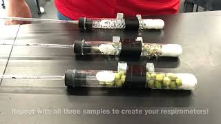 C126 Part 1  Measuring respiration using a respirometer [upl. by Ivar]