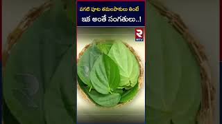 పగటి పూట తమలపాకులు తింటే ఇక అంతే సంగతులు  betel leaves  Effects  benefits  RTV [upl. by Enael]