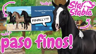 PASO FINOS ARE FINALLY IN STAR STABLE 😍 Buying [upl. by Jar]