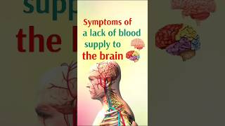 Symptoms of a lack of blood supply to the brain shorts [upl. by Jenilee]