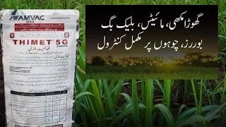 Thimet Swat agro  AMVC USA  phorate  Usages and benefits for crops  Kissan Ghar [upl. by Chao933]