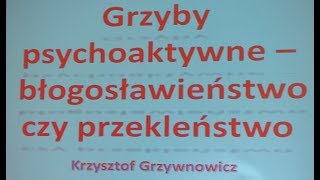 Grzyby psychoaktywne  błogosławieństwo czy przekleństwo prof dr hab Krzysztof Grzywnowicz [upl. by Rosane]