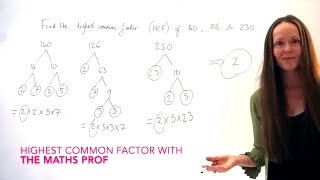 The Maths Prof Highest Common Factor HCF  Greatest Common Factor GCF of 140 126 amp 230 [upl. by Dottie841]