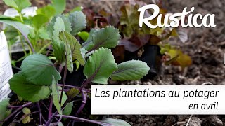 Les plantations au potager en avril [upl. by Karna]