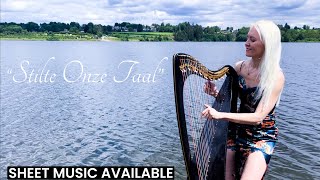 Stilte Onze Taal Camille Celtic Harp Cover [upl. by Anor]