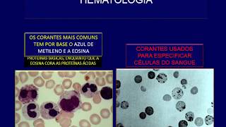 Colorações hematologicas e aplicações [upl. by Oap491]