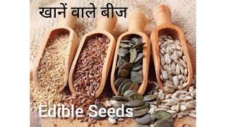 Seeds Name  Seeds Name in English to Hindi  Edible Seeds Name  English Vocabulary [upl. by Taddeusz]