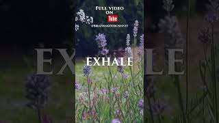 46 Breathing exercise relaxation breathwork meditation peace peacefulmind [upl. by Trust]