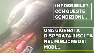 A Pesca nel bassofondoin apnea TUTTO INIZIò NEL PEGGIORE DEI MODI ACQUA TORBIDISSIMA MA POI [upl. by Perloff609]