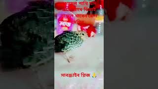 যদি ঝিমাই তাহলে রেনামেশিন খাবেন youtube shortvideo lover video [upl. by Leticia227]