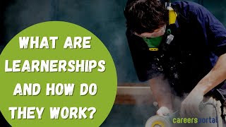 What Are Learnerships And How Do They Work  Careers Portal [upl. by Ahsikym]