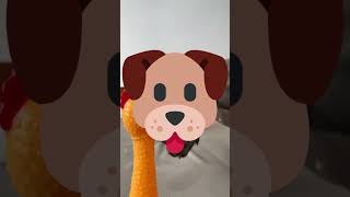 EIN HUND OHNE HALS WURDE GEFUNDEN youtube shorts youtubeshorts shorts [upl. by Entwistle]