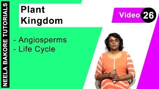 Plant Kingdom  NEET  Angiosperms  Life Cycle  Neela Bakore Tutorials [upl. by Eveineg]