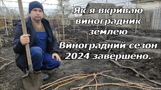 Як я вкриваю виноградник землею 2024 [upl. by Alika]