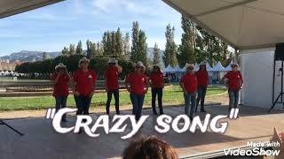 Crazy song Country line dance [upl. by Notgnirrac]