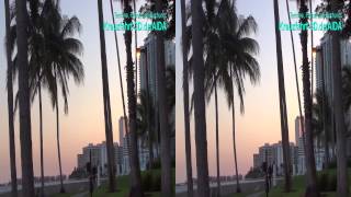 3DVideo Tag 1  Miami  Florida USA  AIDA Kreuzfahrt Reisebericht Südstaaten amp Mexiko [upl. by Klina]