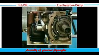 24InLine Motorpal Size MI Pump Assembly of governor flyweights تركيب أثقال أوزان الجفرنير [upl. by Audwin]