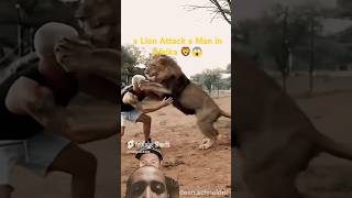 Subscribea Lion Attack a Man in Afrika 🦁😱 animals lion shorts trendingshortsshortvideoanimals [upl. by Tallia]