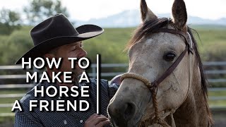 How to make a horse a friend One cowboys partnership with horses [upl. by Eyatnod]