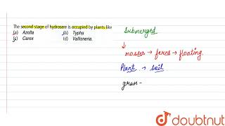 The second stage of hydrosere is occupied by plants like [upl. by Haran]