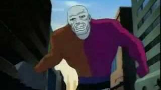 Metamorpho Cameos on Justice League Unlimited [upl. by Sams396]