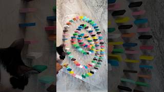 🎉😻🌈Most satisfying domino spiral effect with catAsmr domino bricks domino spiral domino asmr [upl. by Ilohcin6]