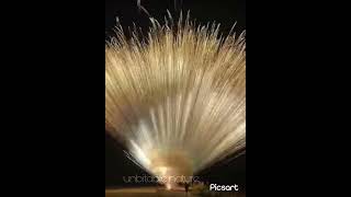 shortvideo viralvideo unbitable nature [upl. by Joella]