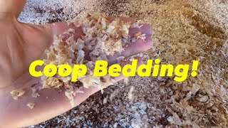 Chicken Coop Bedding Way Cheaper Than Pine Shavings [upl. by Ennairrek]