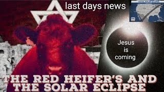 SOLAR ECLIPSE 2024 NEW INFORMATION THE RED HEIFERS FROM TEXAS AND THE ECLIPSE PATH OF TOTALITY [upl. by Yeniffit]