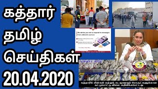 Qatar Tamil News  Qatar  Prices Fish  JAFFNA TAMIL TV  Qatar Doha Tamil News [upl. by Trixy]