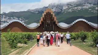 Visiting the Rioja wine region with Worlds Best Vineyards [upl. by Yldarb]