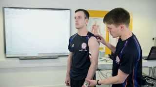 Electromyography EMG in Sport and Exercise Science [upl. by Ahsan]