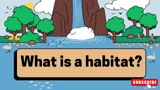 what is a habitat for kids  what is a habitat grade 4  animal habitat project [upl. by Cirilla]