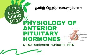 Anterior Pituitary Hormones  EndocrinologyPart4Tamil [upl. by Travers]