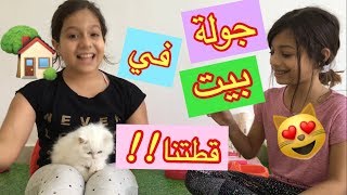 جولة في بيت قطتنا 😻🐱🐈 Kittens House Tour [upl. by Dlorag907]