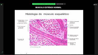 CLASE 9PATOLOGÍA GENERALlaboratorioparte1 [upl. by Ylram991]