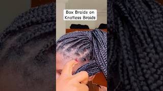 Box Braids on Knotless Braids braids shortsfeed trendingshorts [upl. by Merritt]