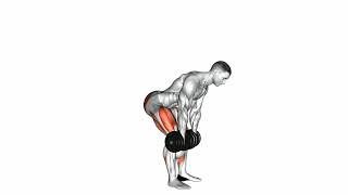 Dumbbell Deadlift [upl. by Pritchard]