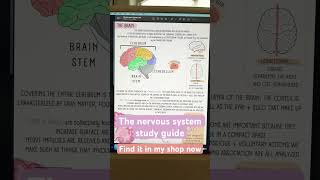 ATI TEAS 7 study guide The Nervous System [upl. by Akeim]