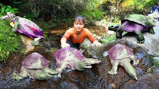 Catch A Lot Of Turtle In The Rock Crevice Go To Market Sell  Buy New Shirt  New Free Bushcraft [upl. by Hsemar]