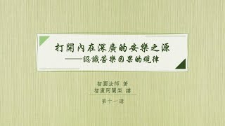 打開內在深廣的安樂之源—《因果的奧祕》講記 第十一講 [upl. by Kaufmann]