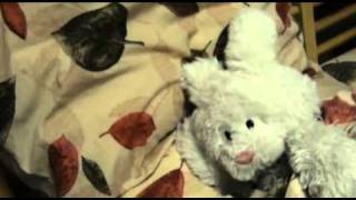 quotChancequot  Animated Stuffed Animal Short Film by Zackary Rabbit [upl. by Rriocard]