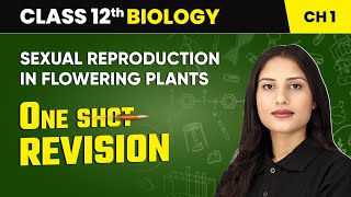 Sexual Reproduction in Flowering Plants  One Shot Revision  Class 12 Biology  CBSE 202425 [upl. by Xanthe812]