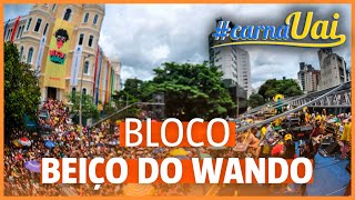 Bloco Beiço do Wando reúne multidão foliões em BH [upl. by Fran]