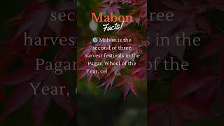 Mabon Facts lightwarriorslegion mabon paganism [upl. by Rehpatsirhc]