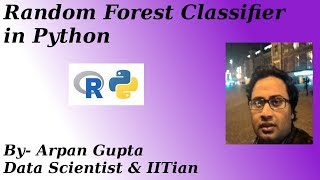 Random Forest Classifier In Python [upl. by Ynnij142]