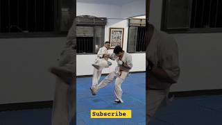 Impressive mawashi Geri gedan kyokushin kyokushinkarate shorts [upl. by Beitch]